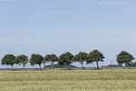 Ostsee-Inseln Norddeutschland