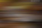 Farben im Herbst