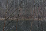 Seenlandschaft