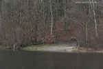 Seenlandschaft