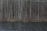 Seenlandschaft