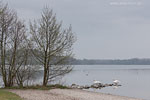 Seenlandschaft