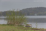 Seenlandschaft