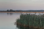 Seenlandschaft