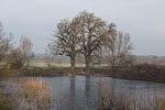 Seenlandschaft