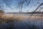 Seenlandschaft