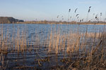 Seenlandschaft