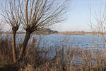 Seenlandschaft