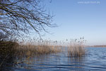 Seenlandschaft