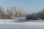 Flulandschaft