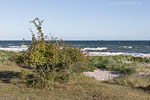 Sturm am Meer