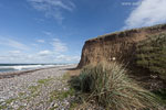 Sturm am Meer