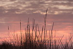 Lichtstimmungen am Meer