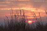 Lichtstimmungen am Meer