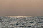 Ostseekste Sonnenaufgang