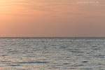 Ostseekste Sonnenaufgang