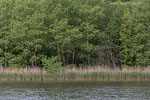 Seenlandschaft