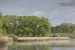 Seenlandschaft