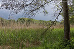 Seenlandschaft