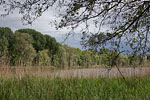 Seenlandschaft