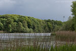 Seenlandschaft