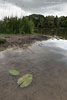 Seenlandschaft