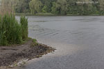 Seenlandschaft