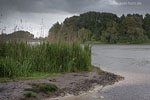 Seenlandschaft