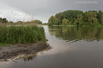 Seenlandschaft