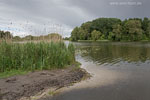 Seenlandschaft