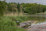 Seenlandschaft