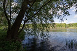 Seenlandschaft