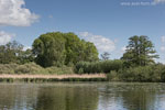 Seenlandschaft