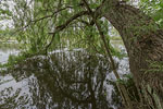 Seenlandschaft