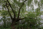 Seenlandschaft