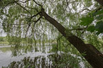 Seenlandschaft