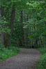 Seenlandschaft