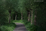 Seenlandschaft
