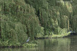 Seenlandschaft