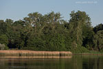 Seenlandschaft