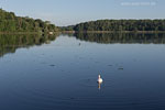 Seenlandschaft
