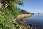 Seenlandschaft