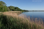 Seenlandschaft