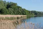 Seenlandschaft