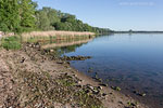 Seenlandschaft