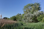 Seenlandschaft