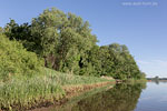 Seenlandschaft