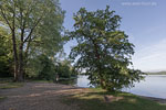 Seenlandschaft