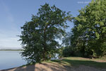 Seenlandschaft