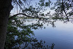 Seenlandschaft